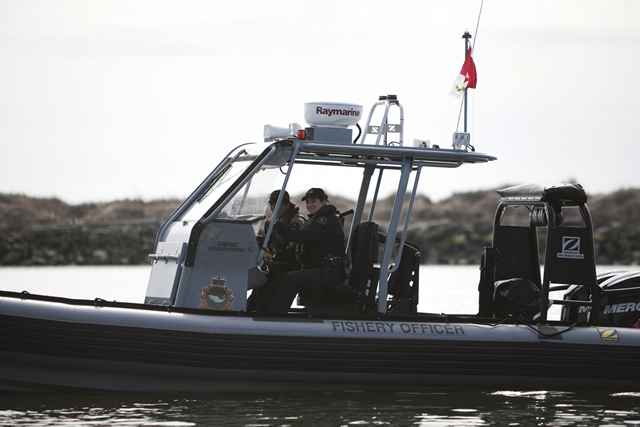 Driving the boat while looking for fishing activity. Photo by Trevor Meier