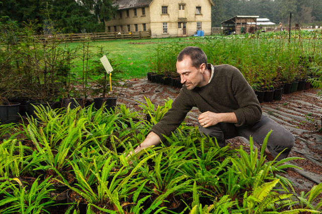 A native plant nursery provides for restoration projects and sales to the public. Photo by Trevor Meier