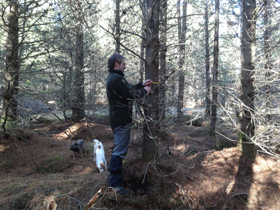 Measuring samples of timber volume for production forecasting and valuation purposes
