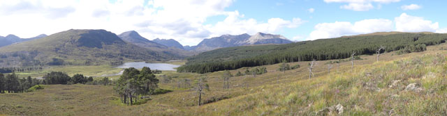Planning the restructuring of a large non-native plantation within a national scenic area